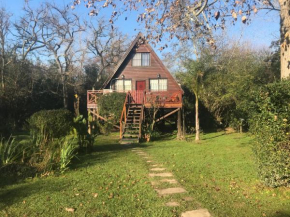Cabaña en el Delta Arroyo Pajarito a 20 minutos de navegación